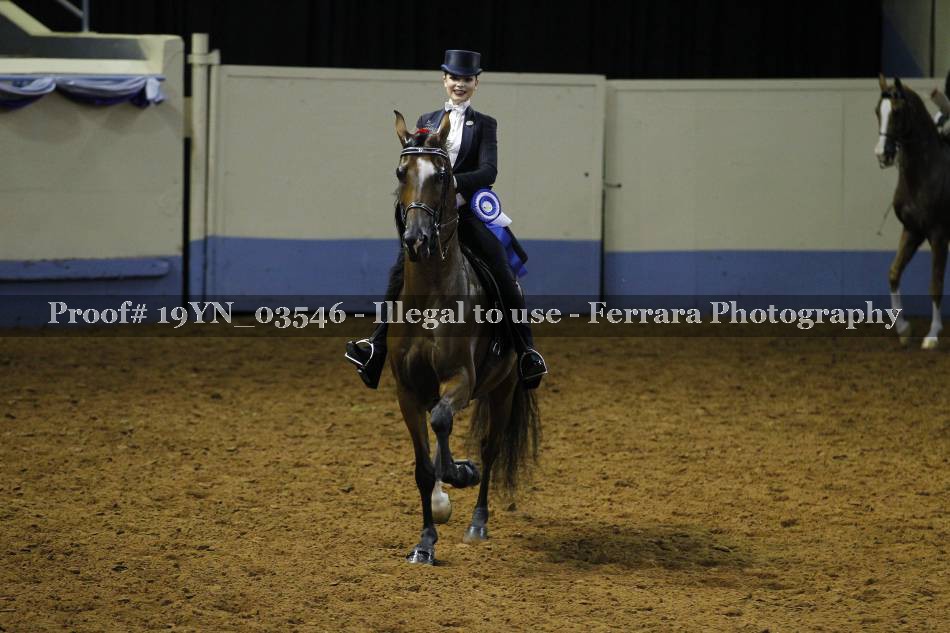 Proof 19YN_03546