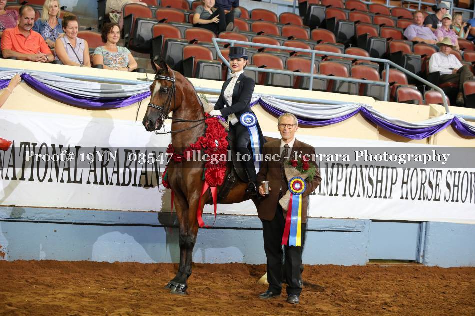 Proof 19YN_03547