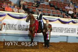 19YN_03548 proof