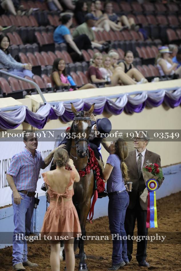 Proof 19YN_03549