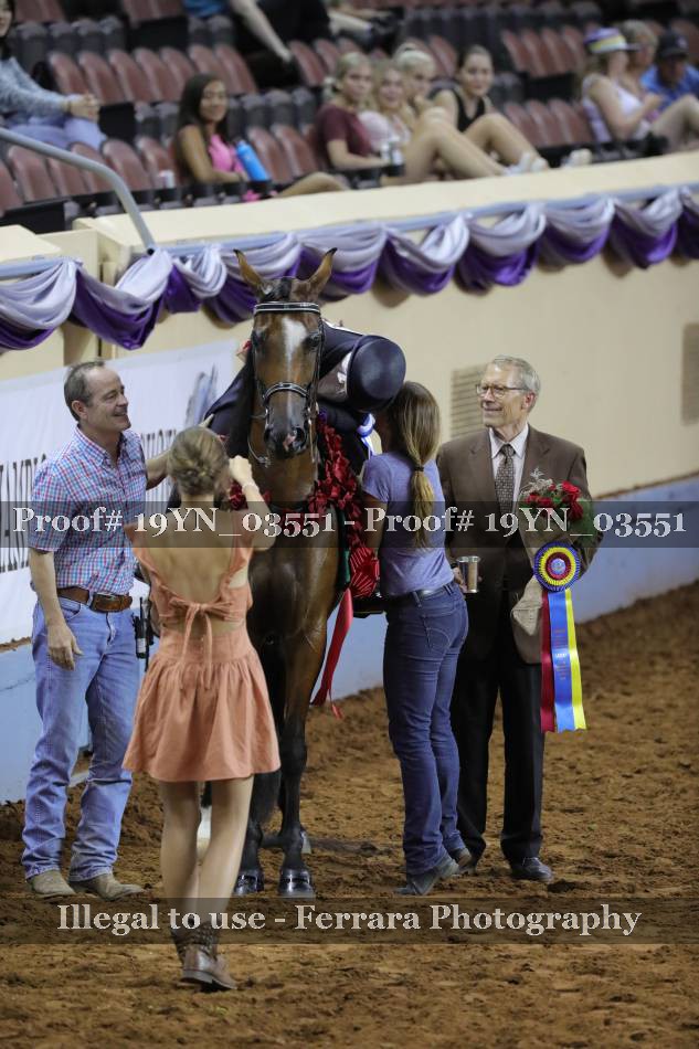Proof 19YN_03551