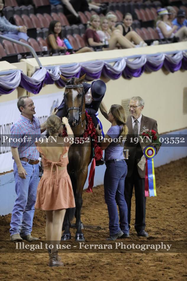 Proof 19YN_03552