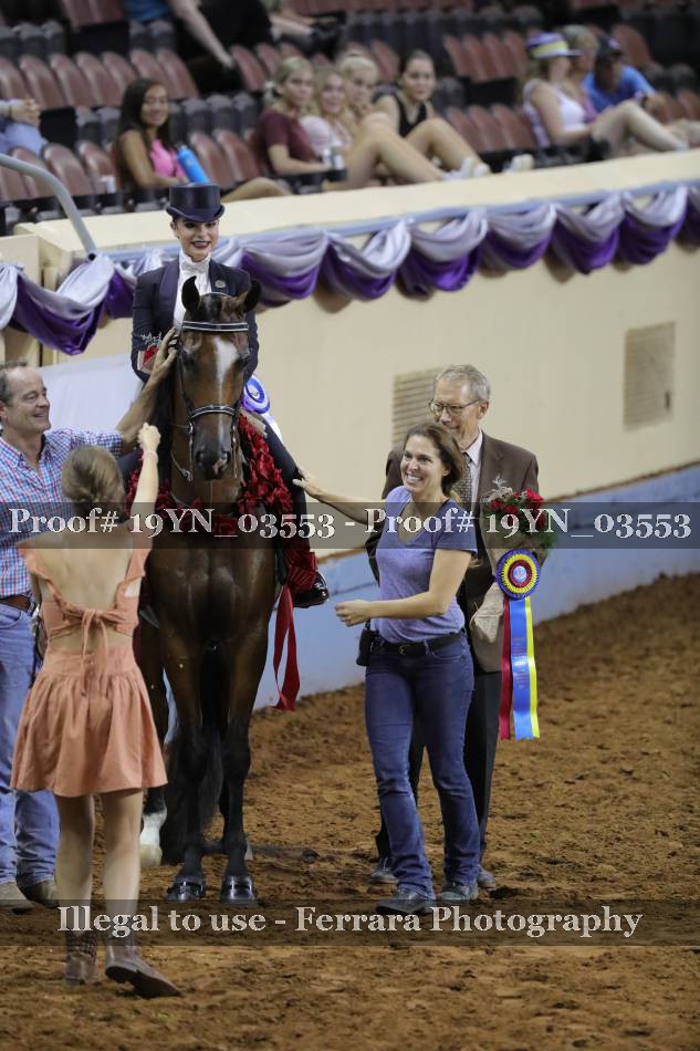 Proof 19YN_03553