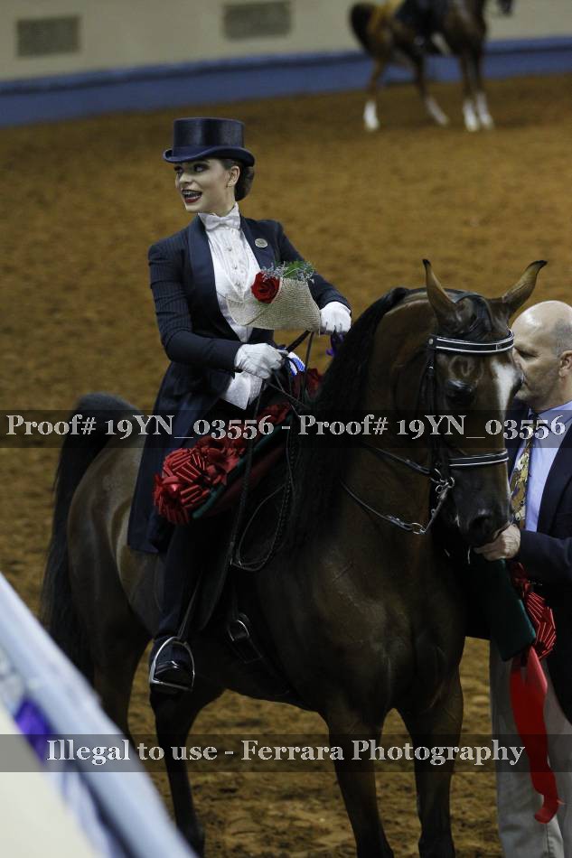 Proof 19YN_03556
