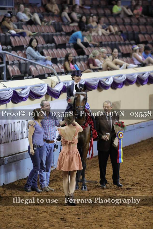 Proof 19YN_03558