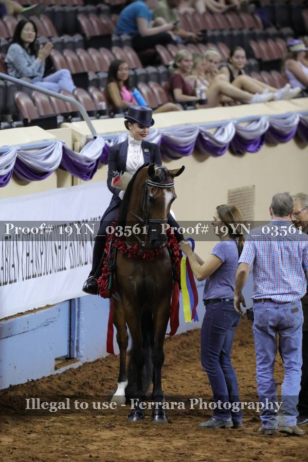 Proof 19YN_03561