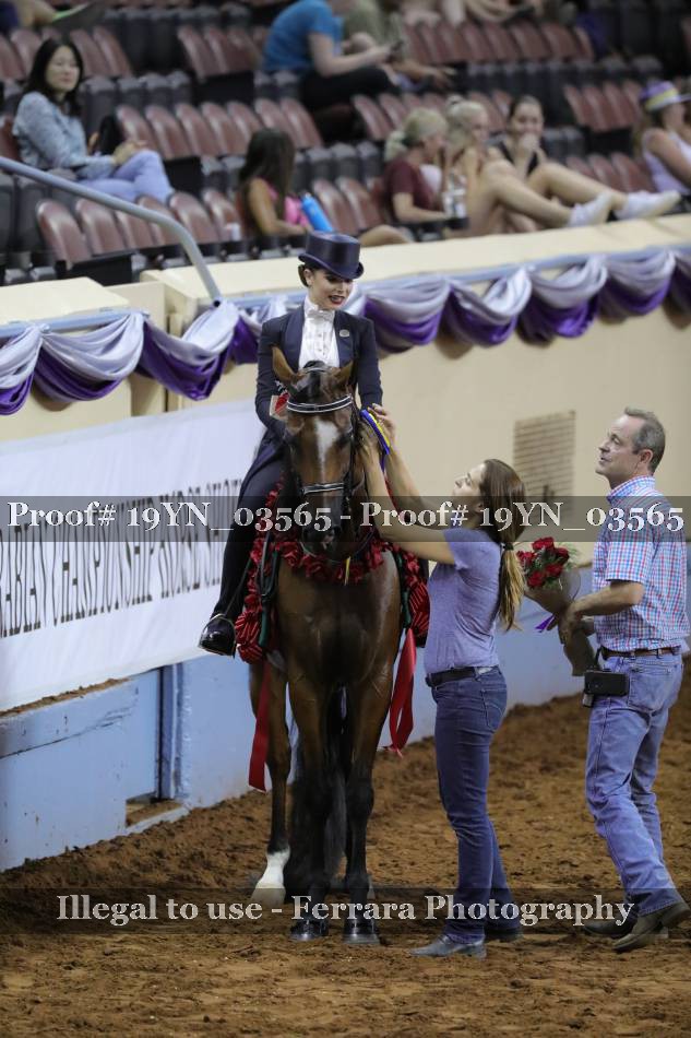 Proof 19YN_03565