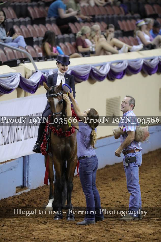 Proof 19YN_03566