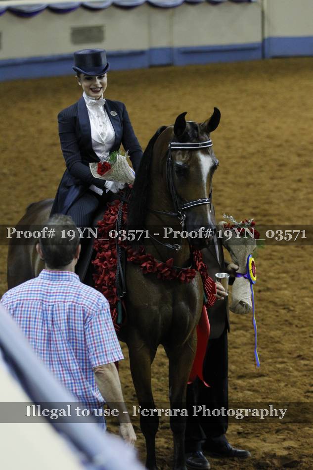 Proof 19YN_03571