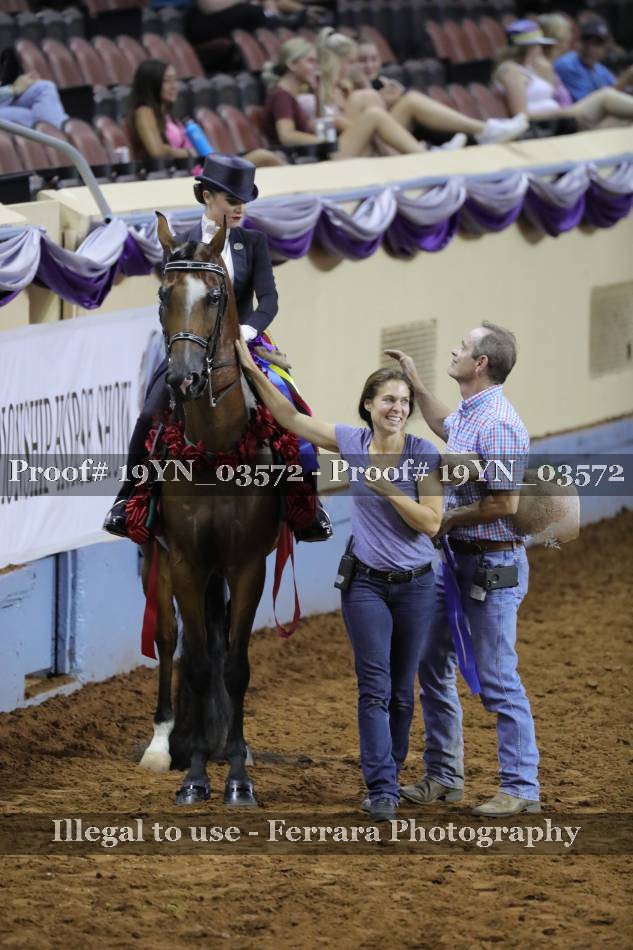 Proof 19YN_03572