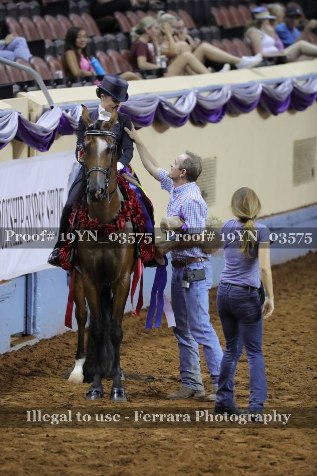 Proof 19YN_03575