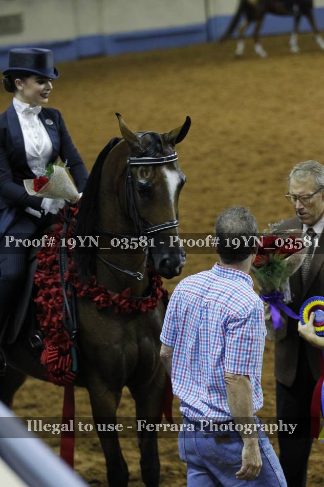 Proof 19YN_03581