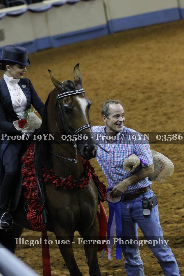 Proof 19YN_03586
