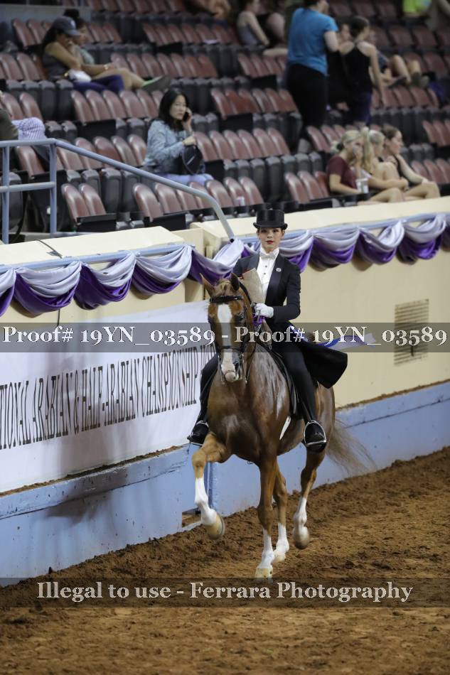 Proof 19YN_03589