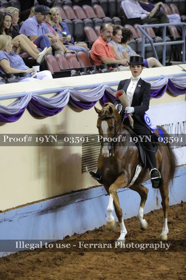 Proof 19YN_03591