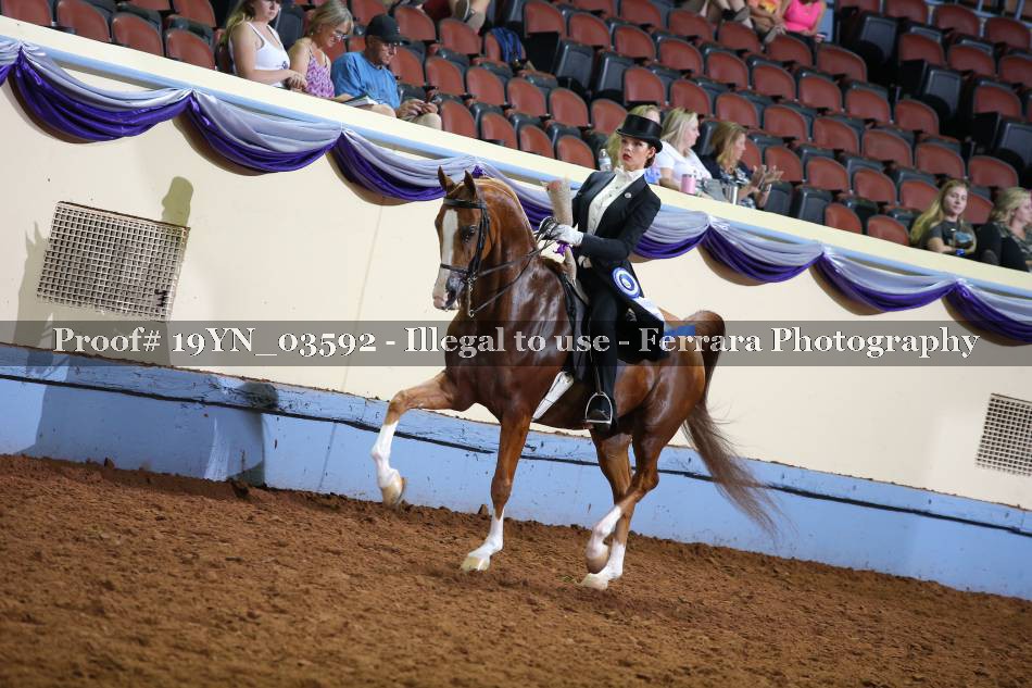 Proof 19YN_03592