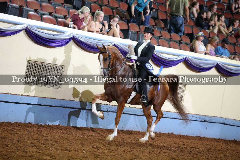 Proof 19YN_03594