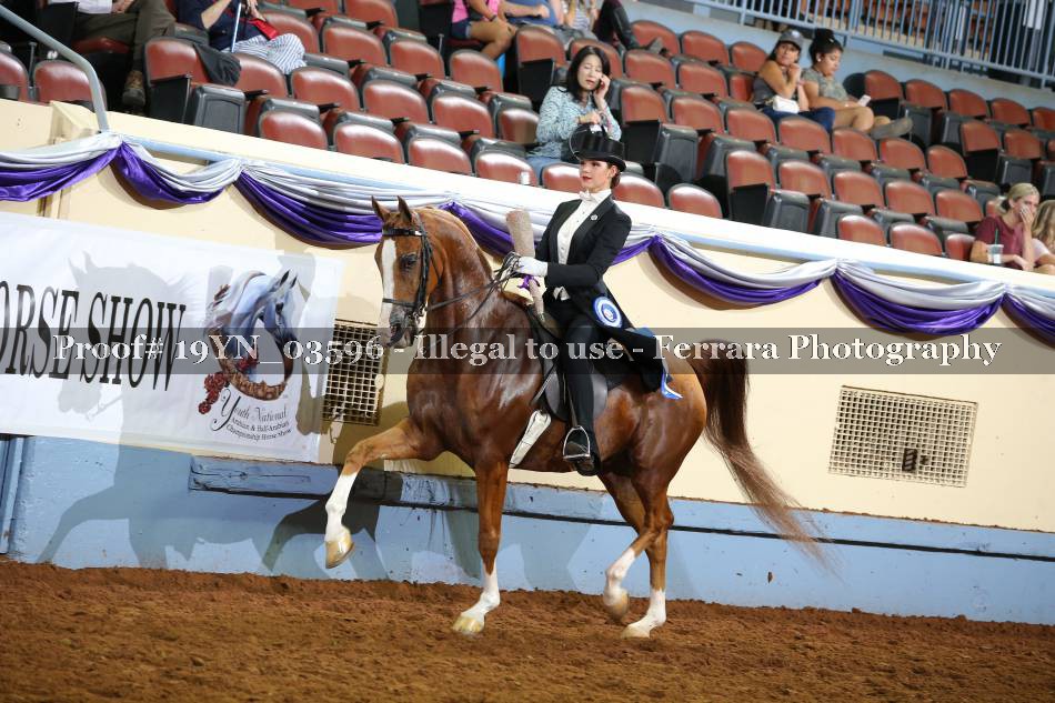 Proof 19YN_03596