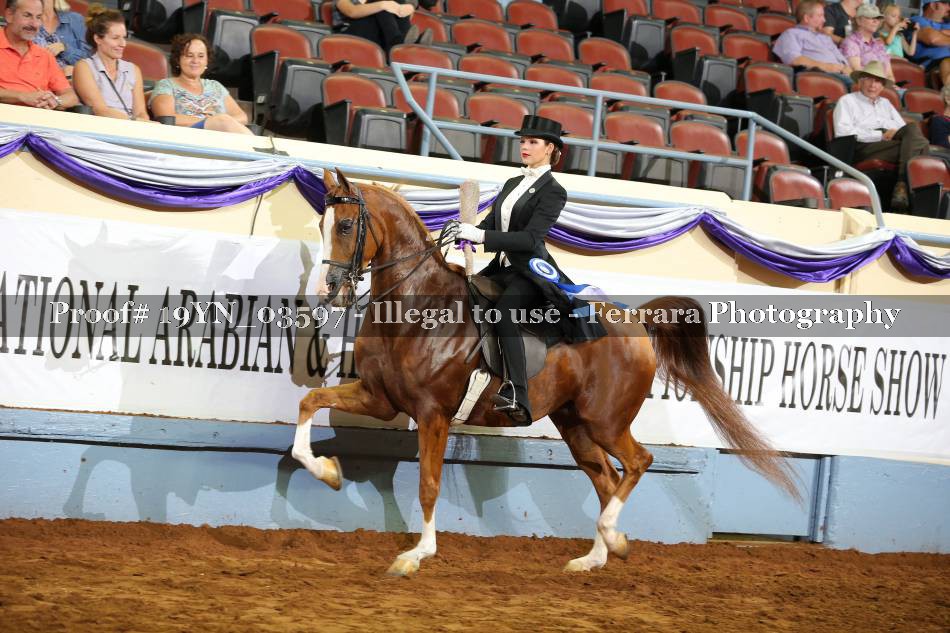 Proof 19YN_03597