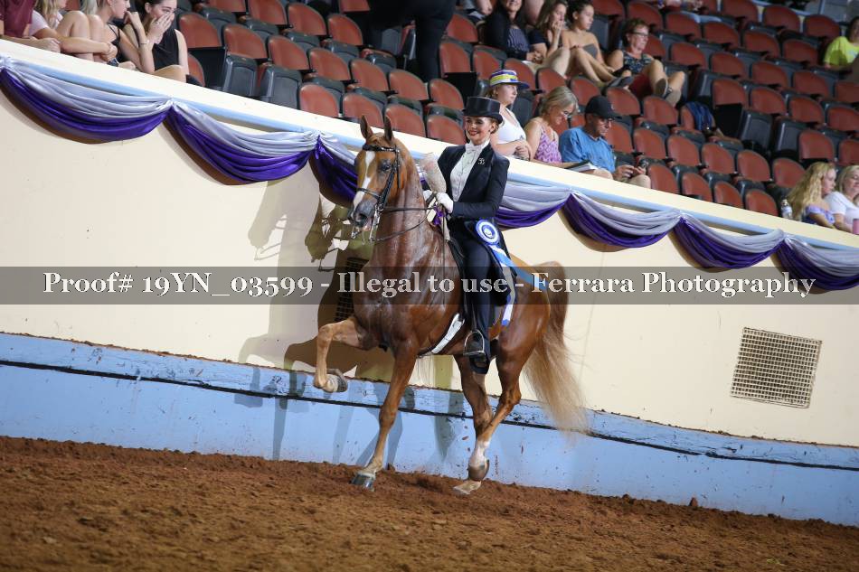 Proof 19YN_03599