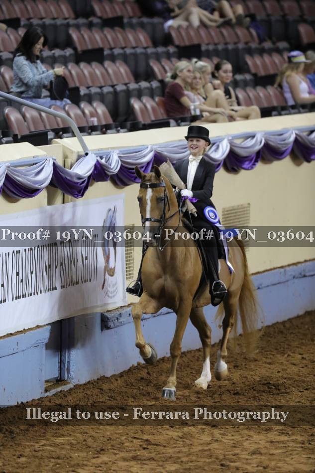 Proof 19YN_03604