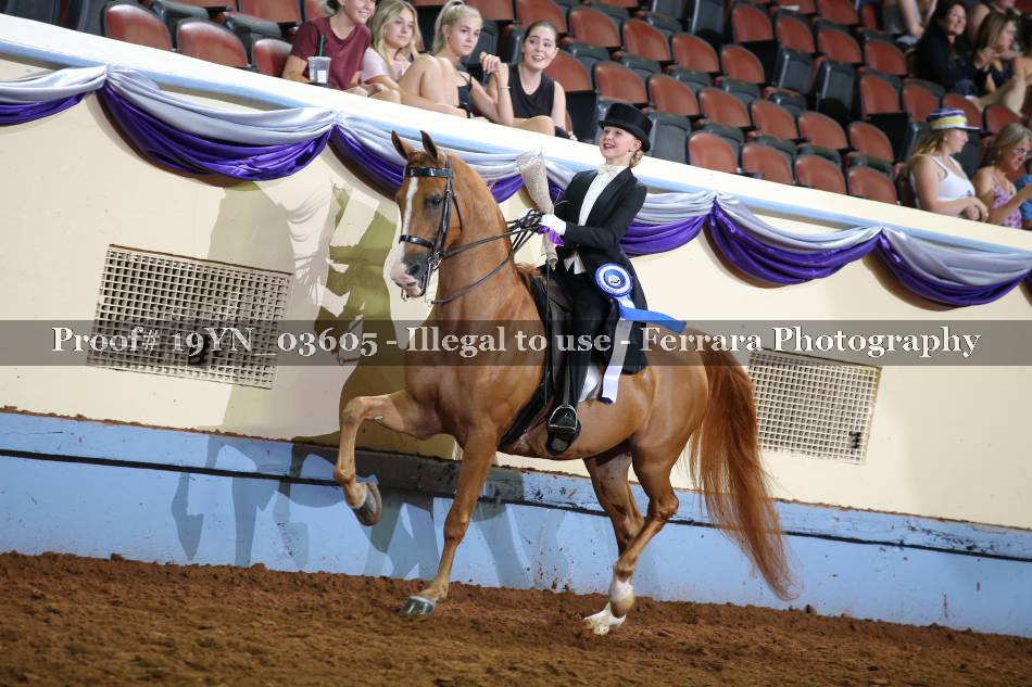 Proof 19YN_03605