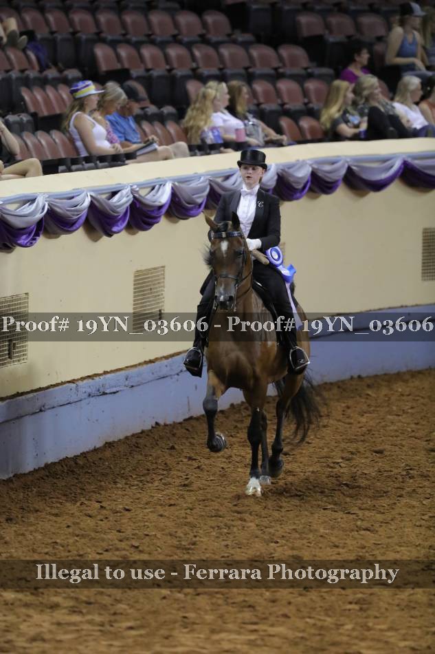 Proof 19YN_03606