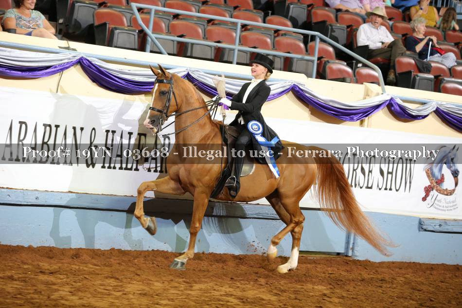 Proof 19YN_03608