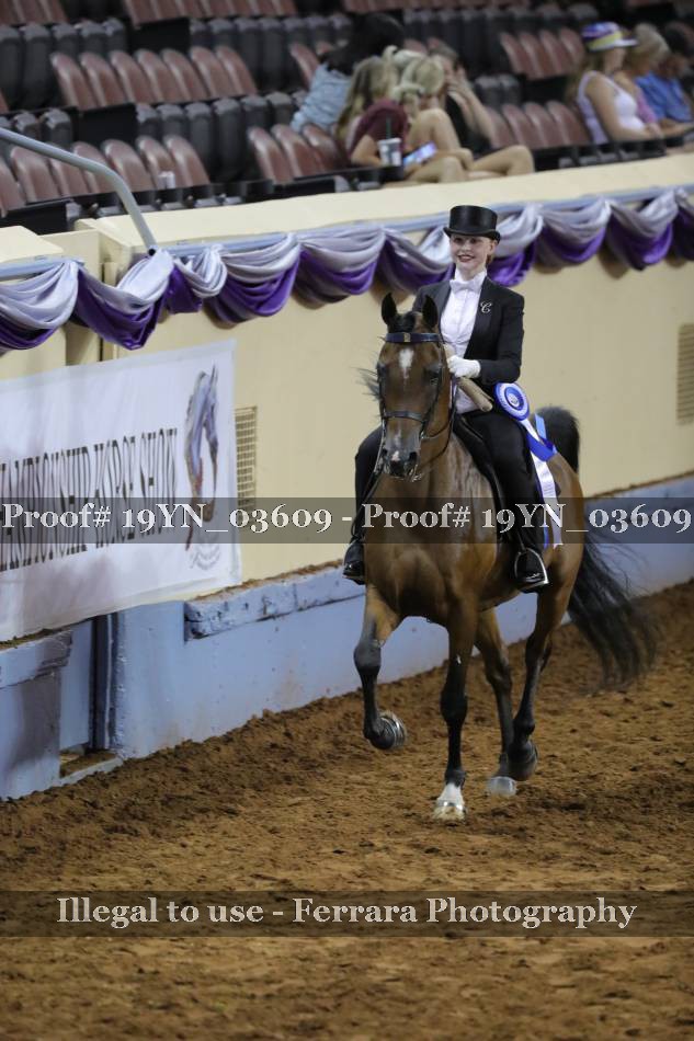 Proof 19YN_03609
