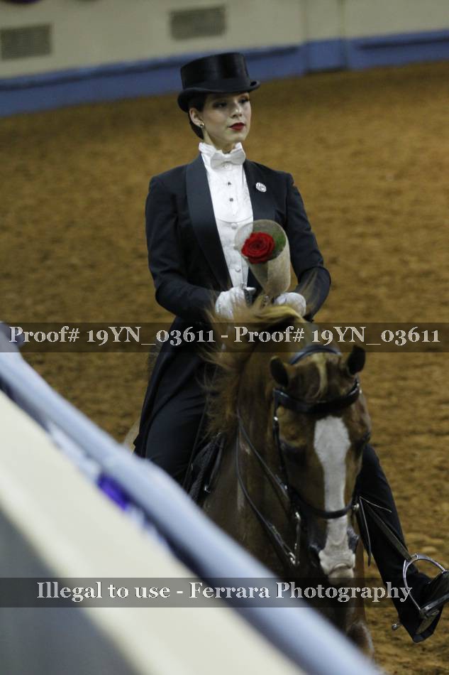 Proof 19YN_03611