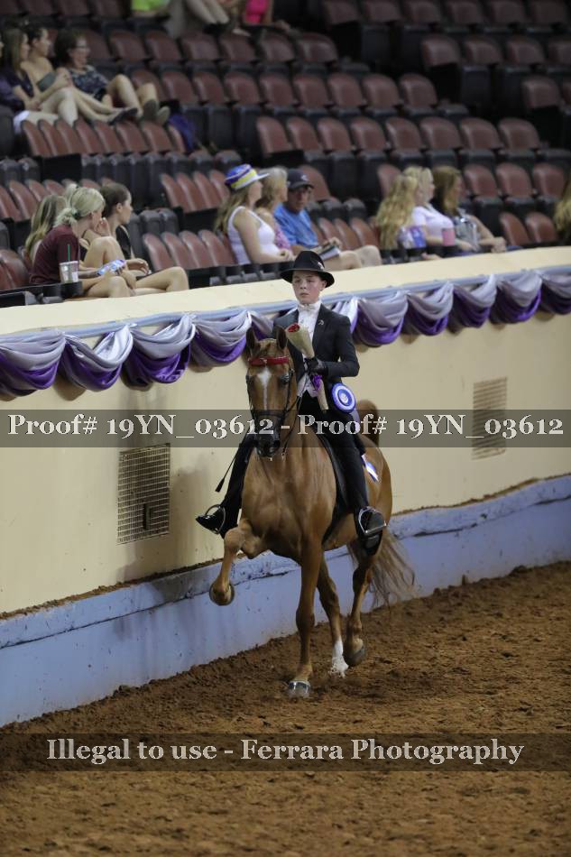 Proof 19YN_03612