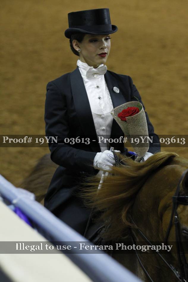 Proof 19YN_03613