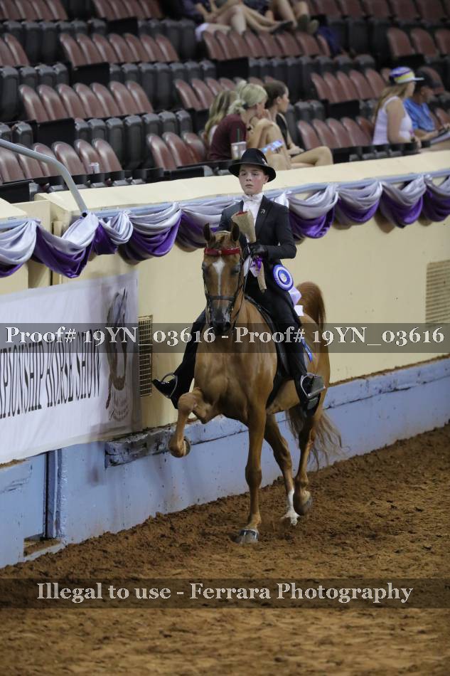 Proof 19YN_03616