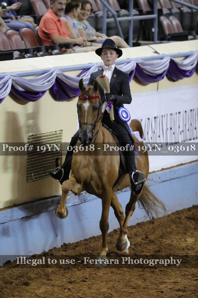 Proof 19YN_03618