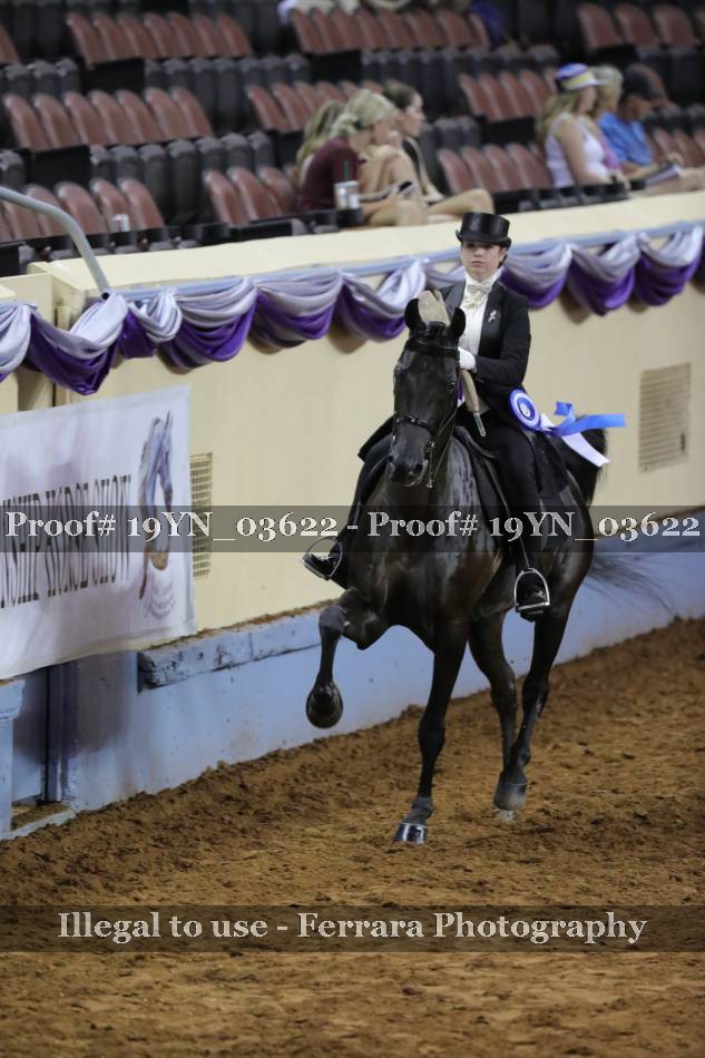 Proof 19YN_03622