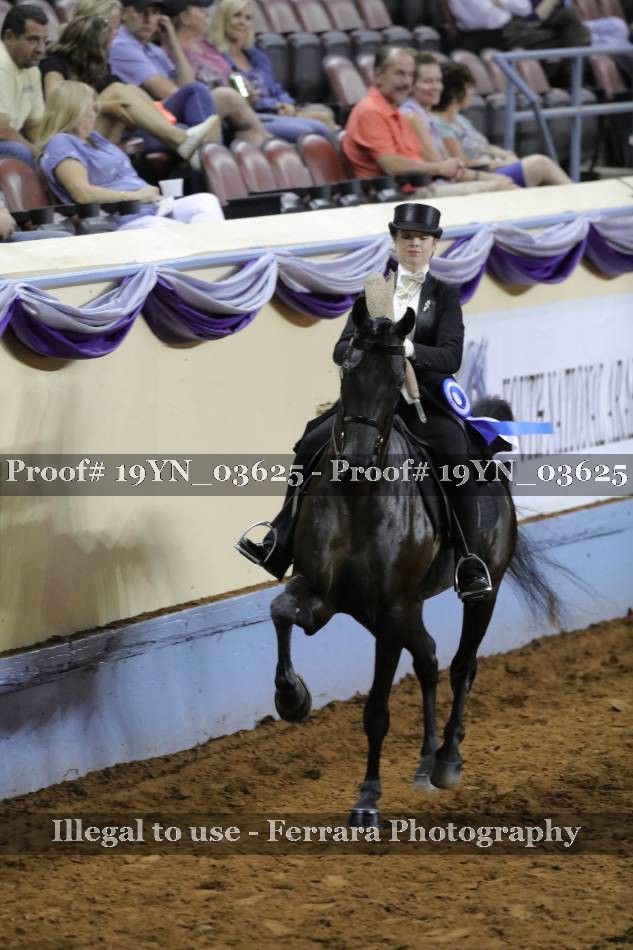 Proof 19YN_03625