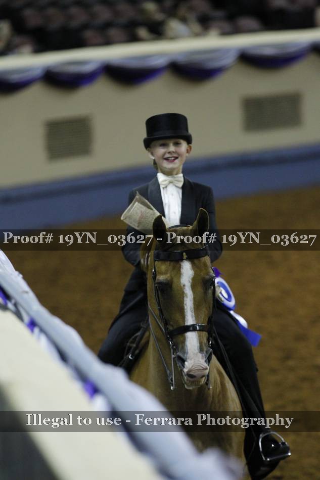 Proof 19YN_03627