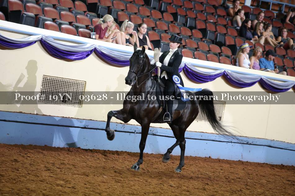 Proof 19YN_03628