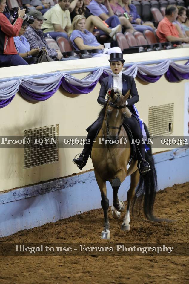 Proof 19YN_03632