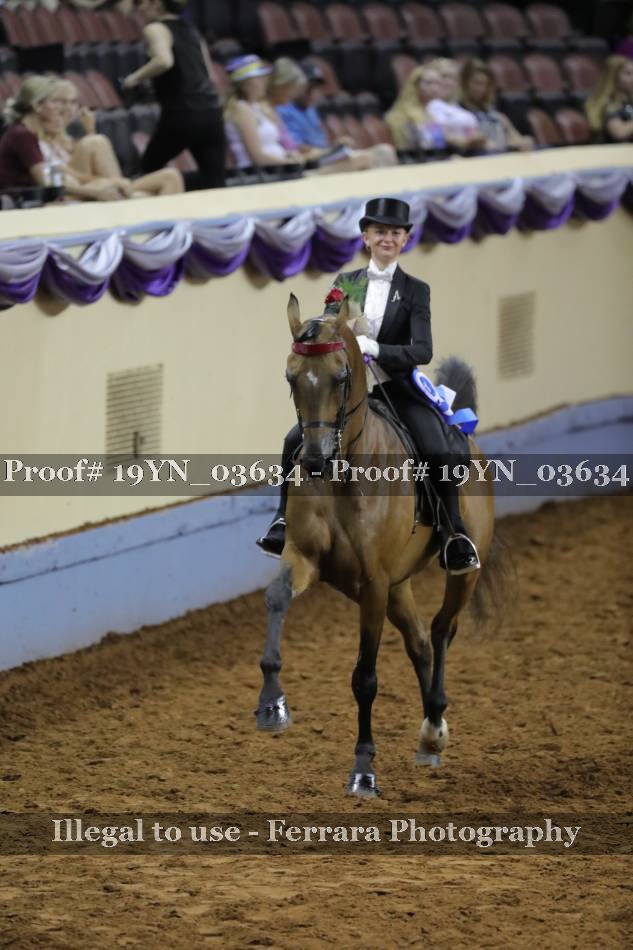 Proof 19YN_03634