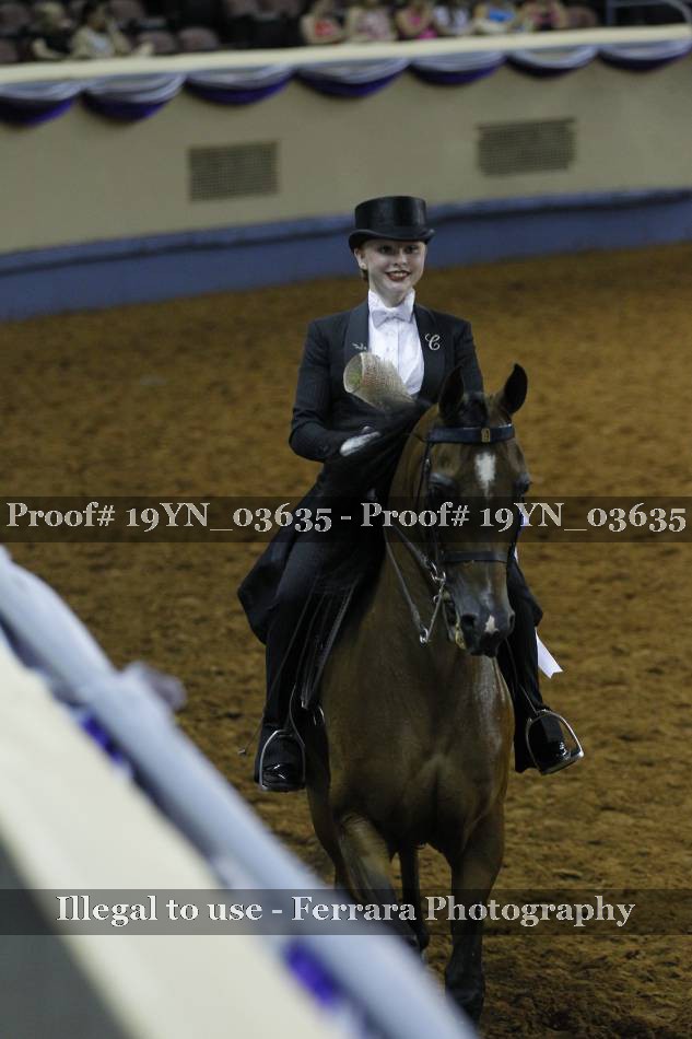 Proof 19YN_03635
