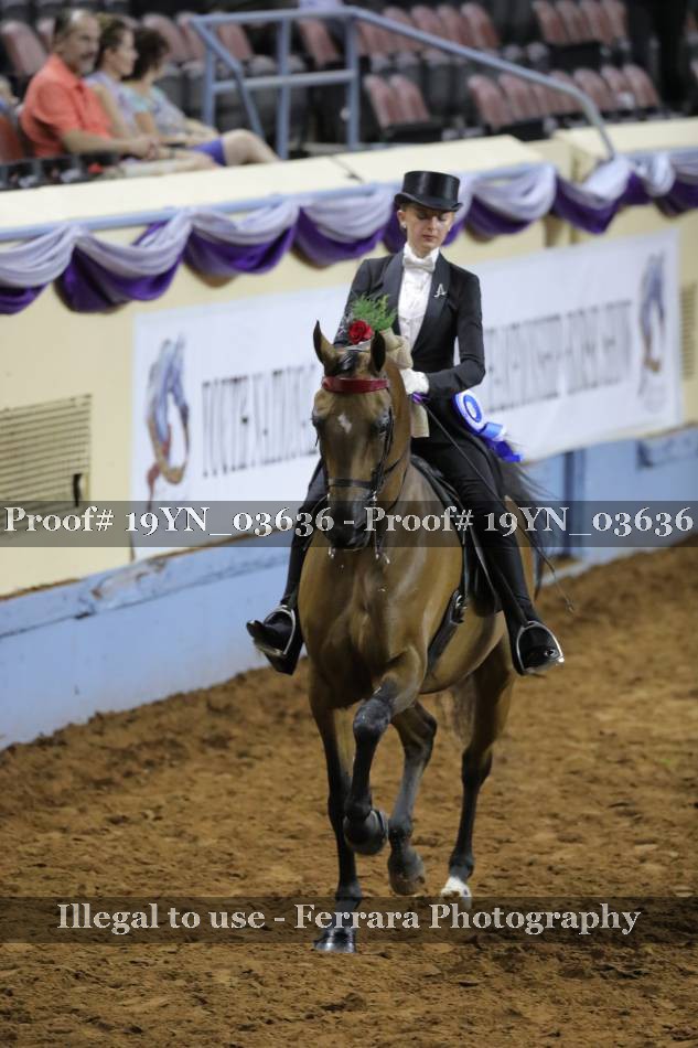 Proof 19YN_03636
