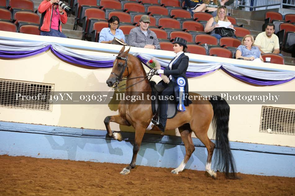 Proof 19YN_03637
