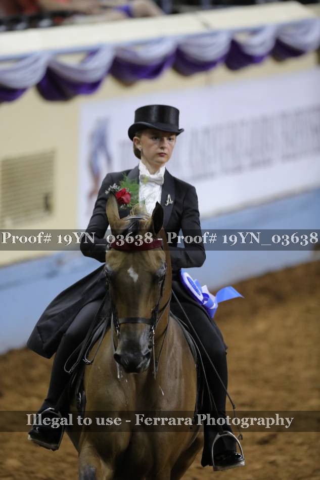 Proof 19YN_03638