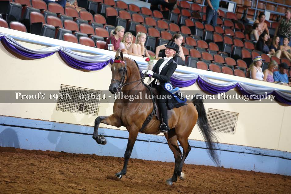 Proof 19YN_03641