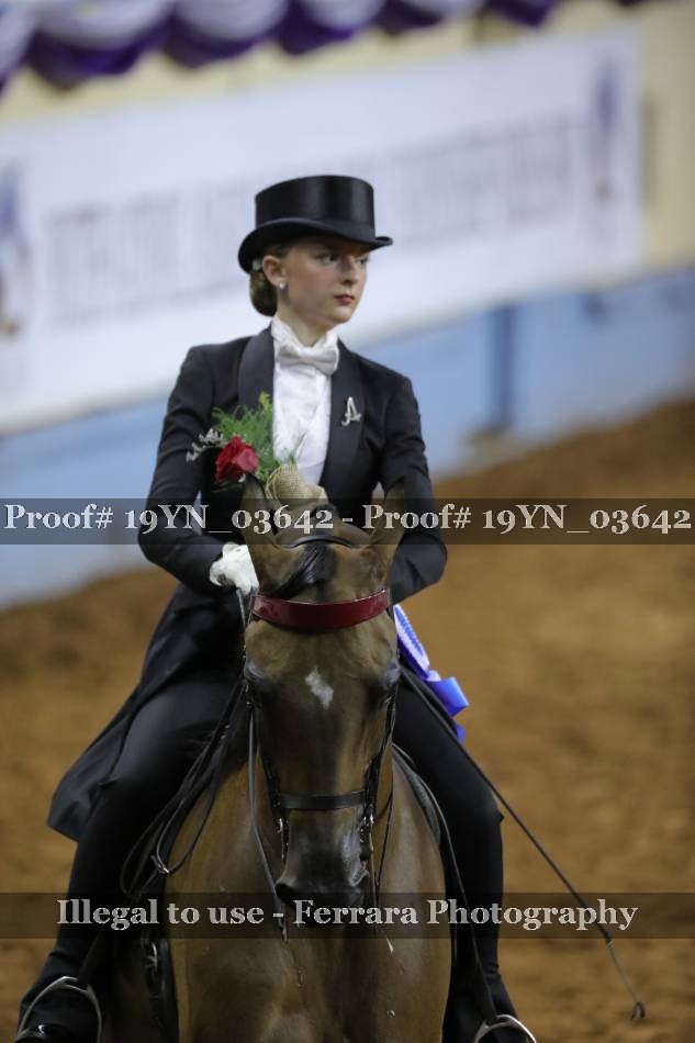 Proof 19YN_03642