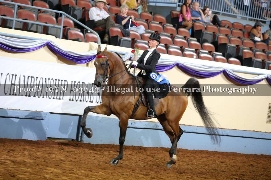 Proof 19YN_03643