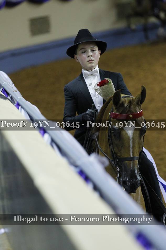 Proof 19YN_03645