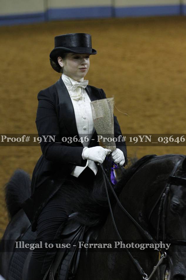 Proof 19YN_03646