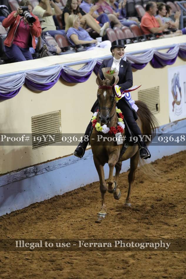 Proof 19YN_03648